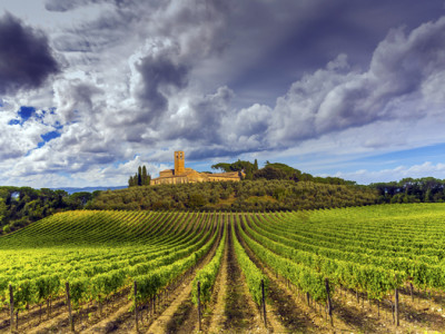 toscana_vinho