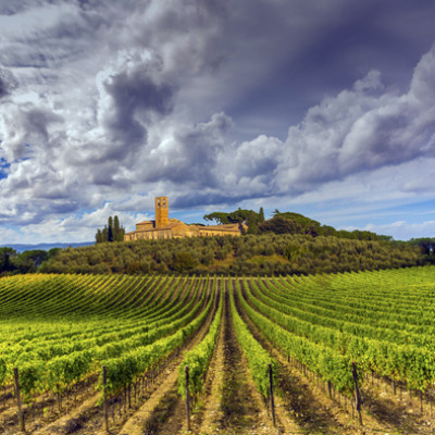 toscana_vinho