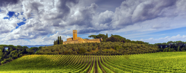 toscana_vinho