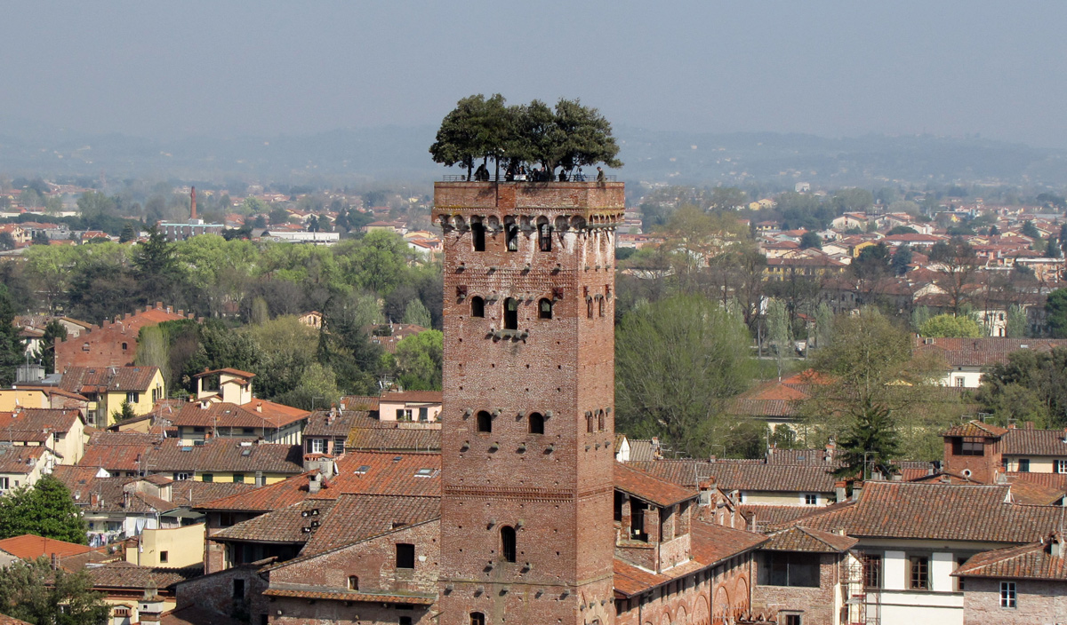 Torre Guinigi em Lucca